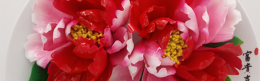 水月牡丹，洛陽(yáng)水月牡丹技術(shù)開發(fā)有限公司